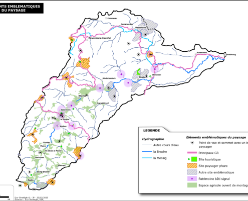 Synthèse des éléments emblématiques du paysage